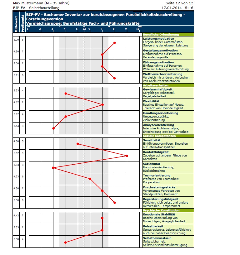 Musteransicht eines BIP-Bogens mit entsprechenden Ausprägungen der untersuchten Eigenschaften
